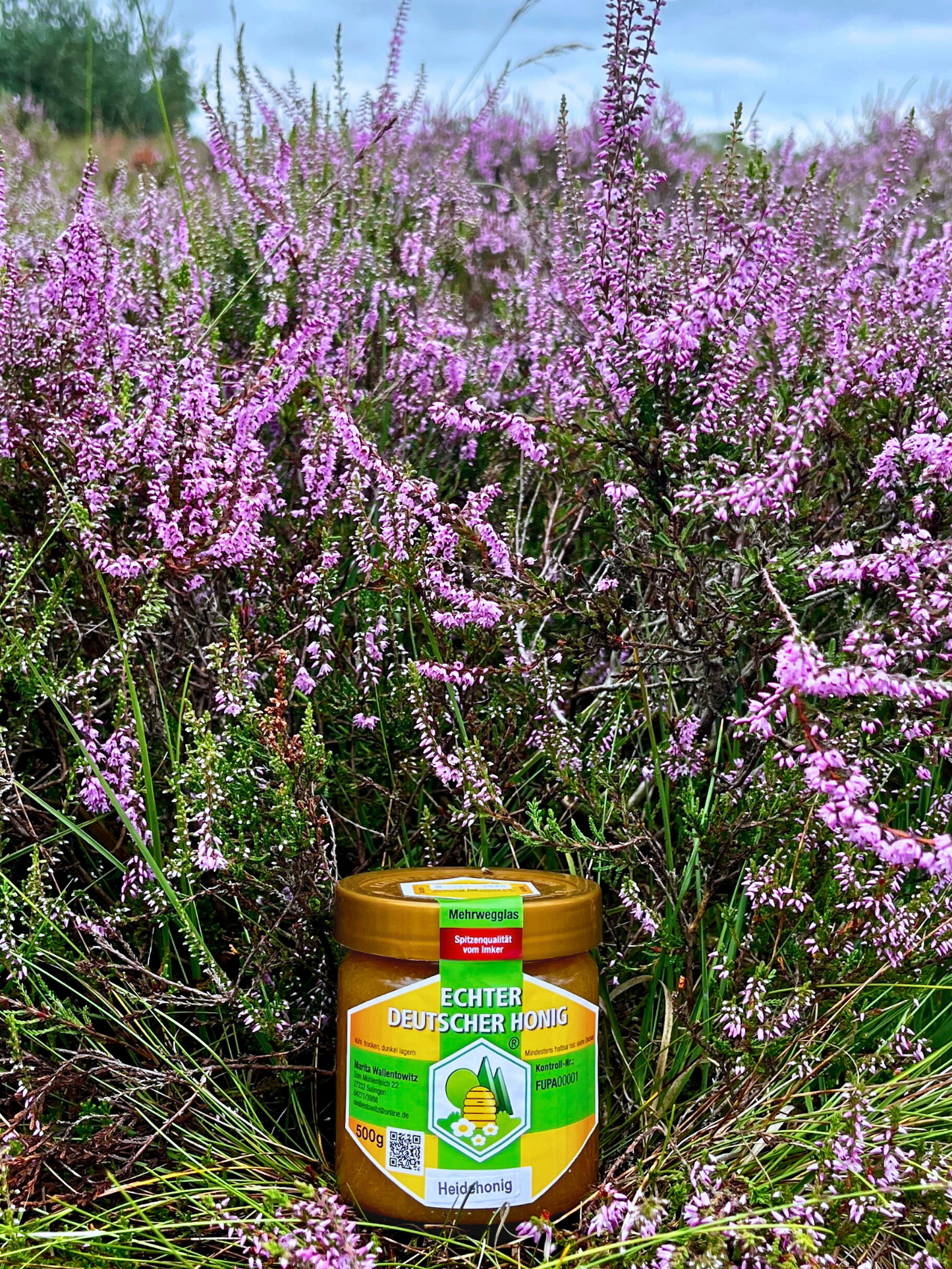 Heidehonig - adoptiere einen Bienenstock in der Lüneburger Heide